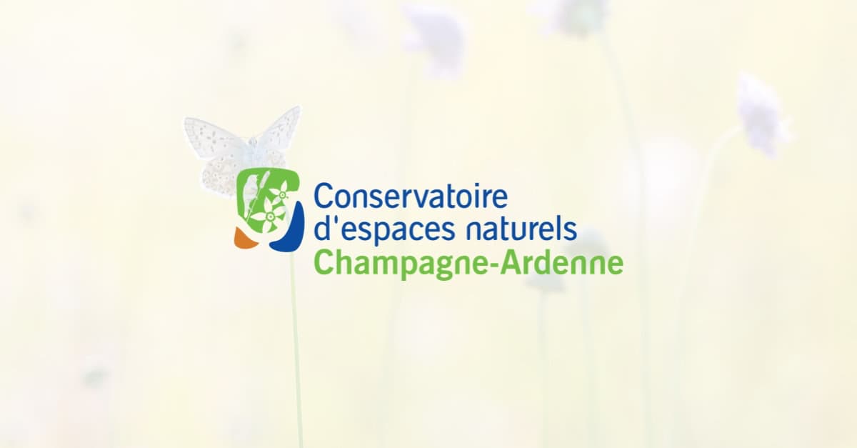 L'automne aux Tourbières